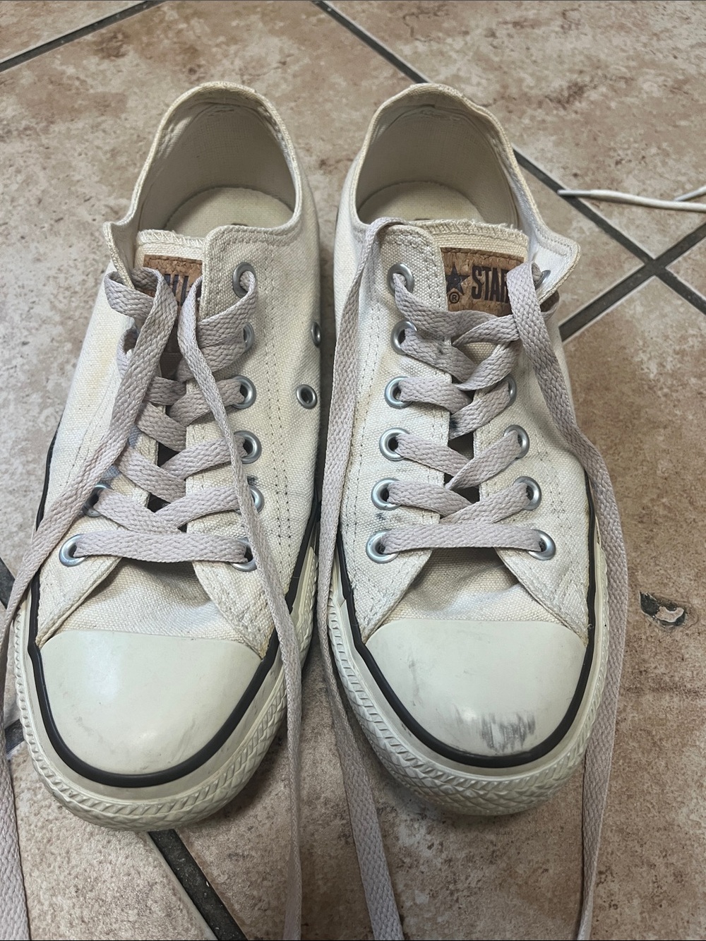 Converse Low Top Sneakers in White with Black Trim